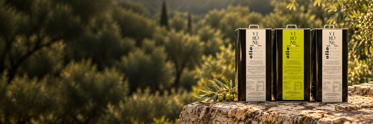 Olio Virone ambientato in un uliveto illustrativo