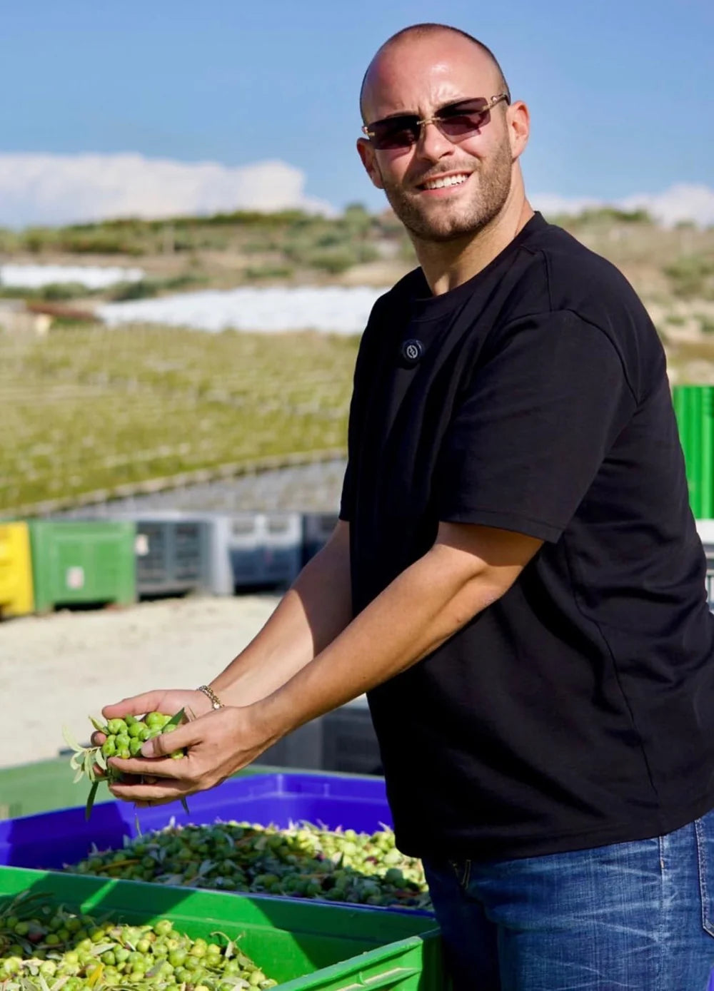 Il produttore con le olive durante la lavorazione